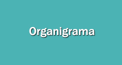 organizacio organigrama 2021