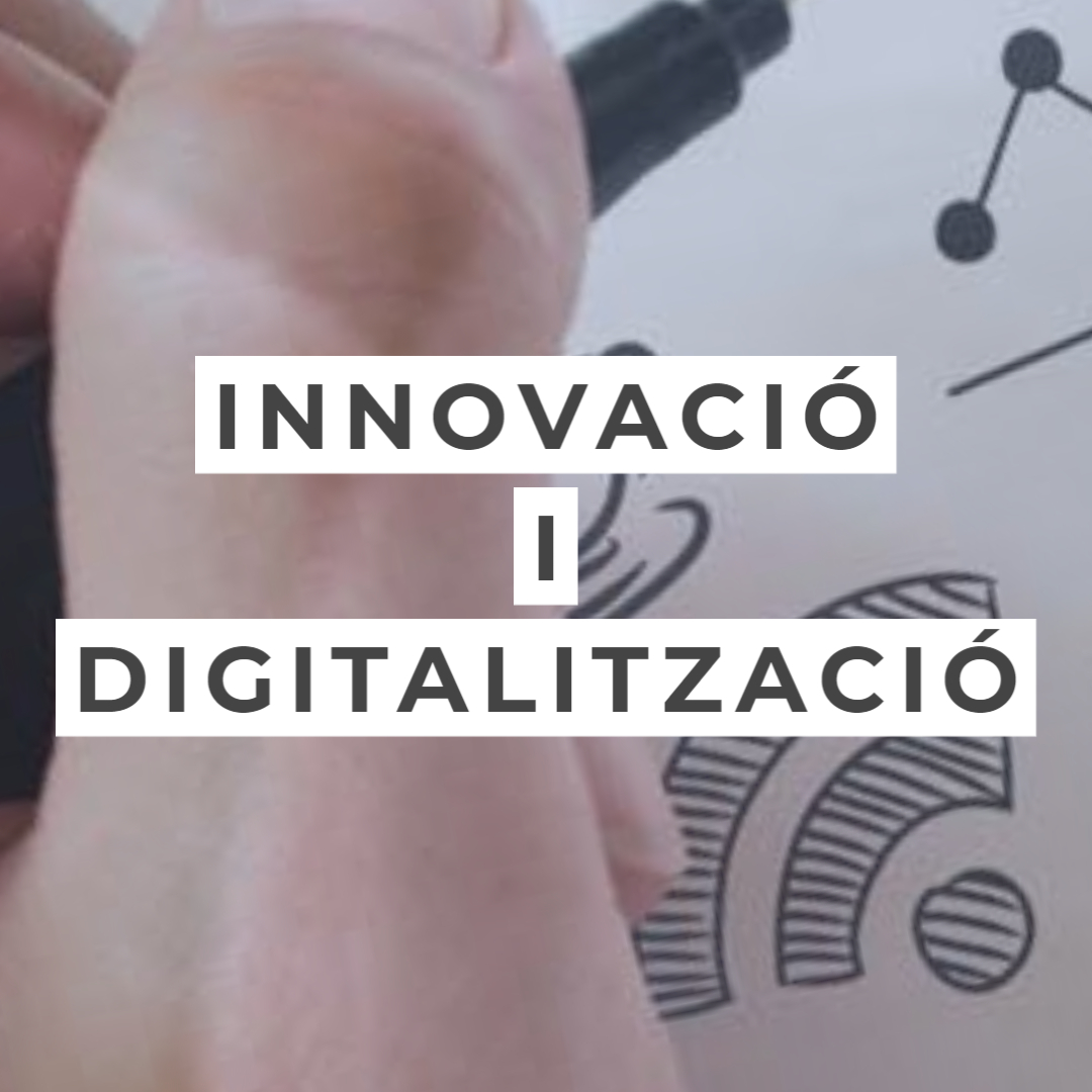 Impuls a la innovació i a la digitalització