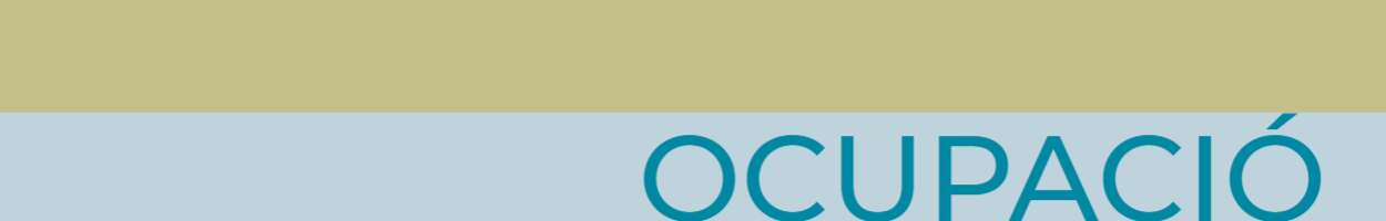 OCUPACI BANNER200 2