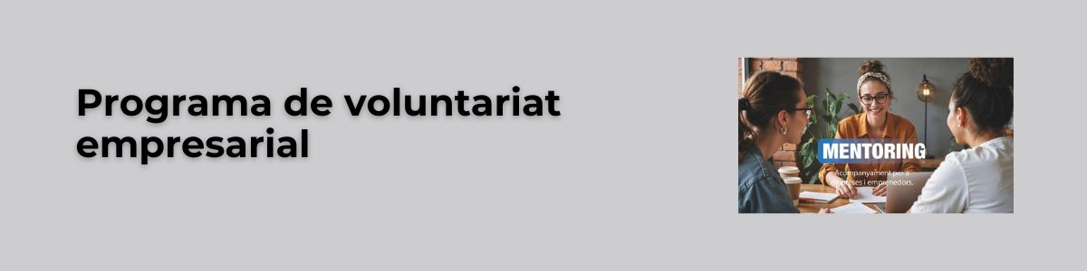 programa de voluntariat empresarial