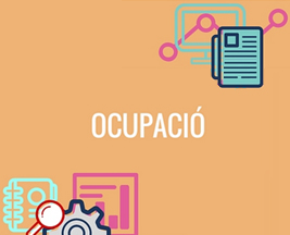 ocupacio