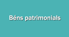 organizacio Bens patrimonials