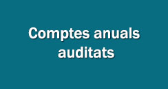 Comptes anuals auditats