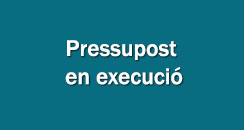 programa pressupost en execucio