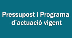 programa pressupost i programa actuacio vigent