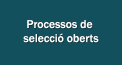 contratacio Processos de seleccio oberts