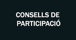 Portal consells de participacio